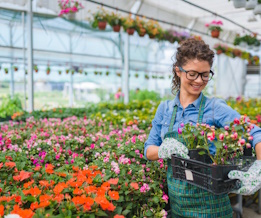 Greenhouse Thumbnail New R1