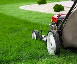 Lawns and Turf Thumbnail New R1