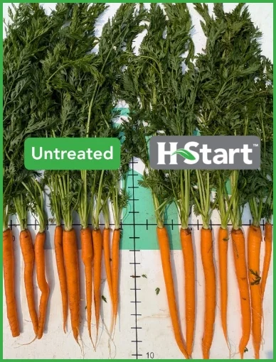 img banner soil solution